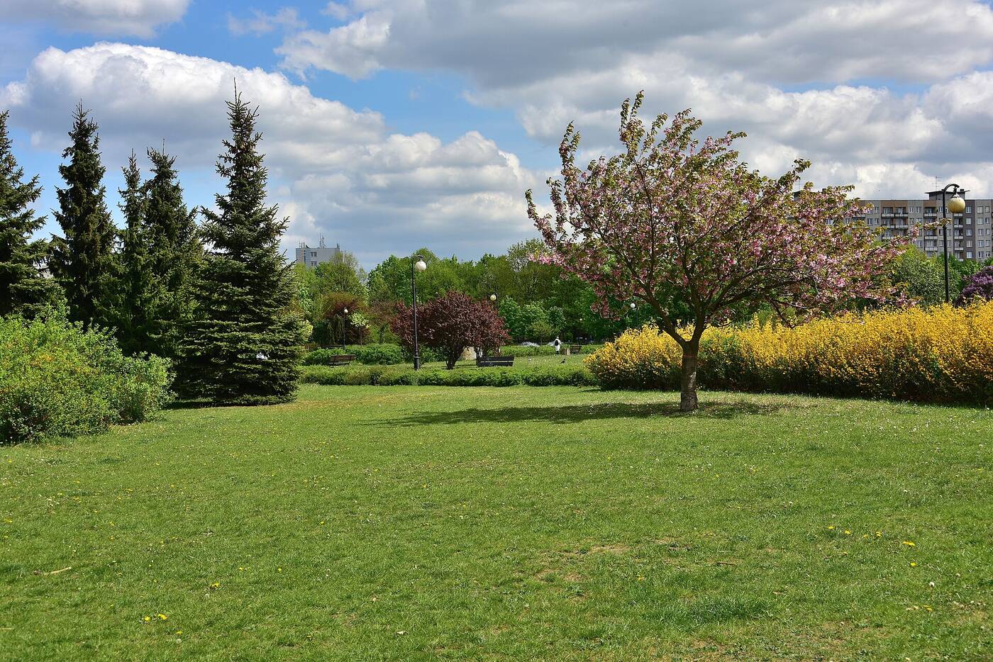 Targówek